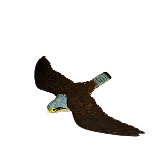 MAKETA SOKOLA