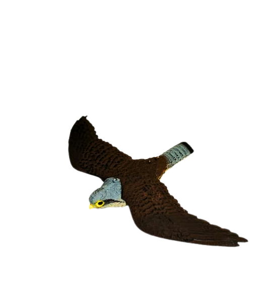MAKETA SOKOLA